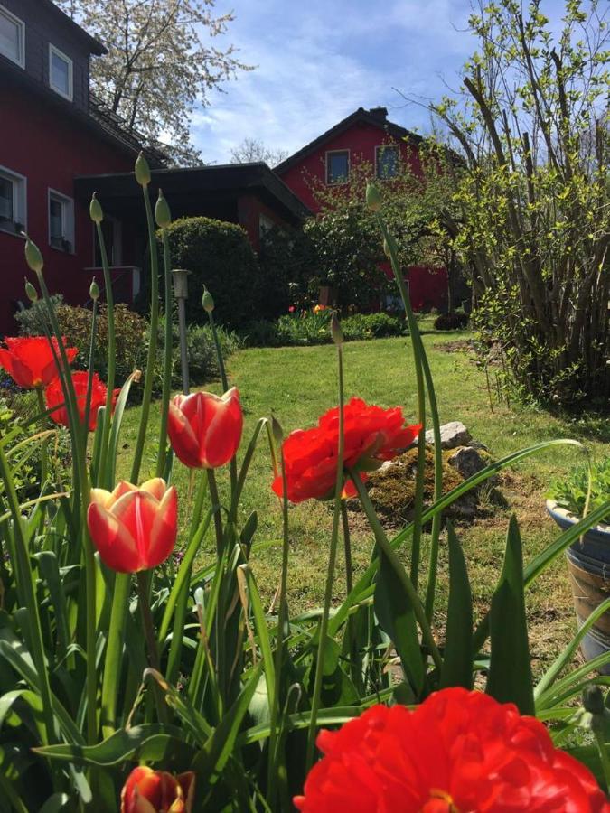 Ferienwohnung Auenthal Koditz Kültér fotó